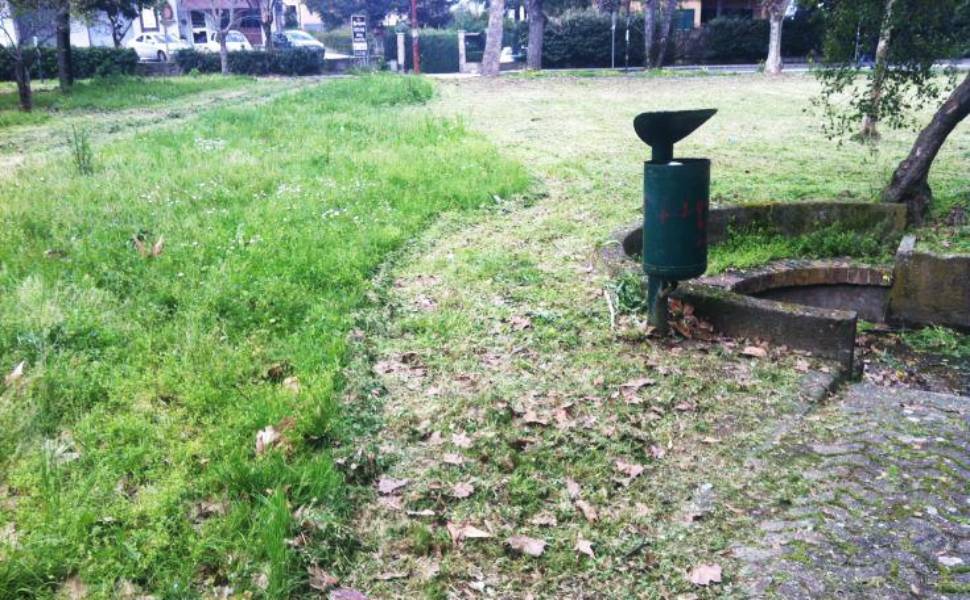 Rende manutenzione cura verde 01