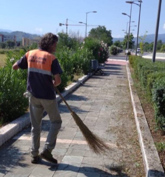 Rende manutenzione cura verde 02