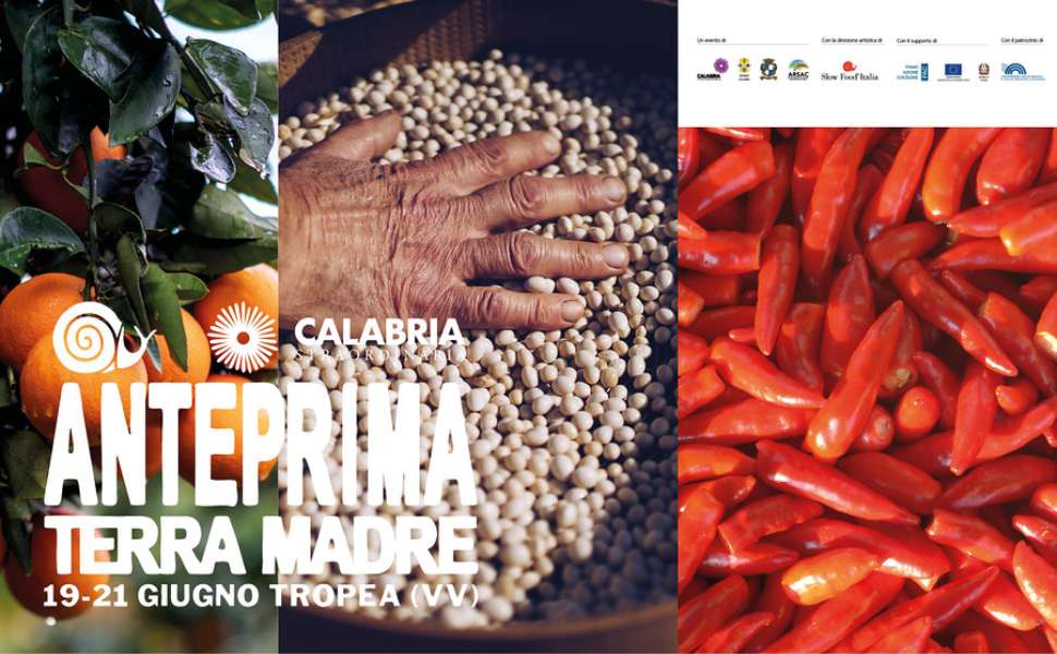A Tropea l'anteprima di "Terra Madre 2026": 150 produttori e 3 giorni di eventi 52 Tropea Terra Madre Slow Food 02