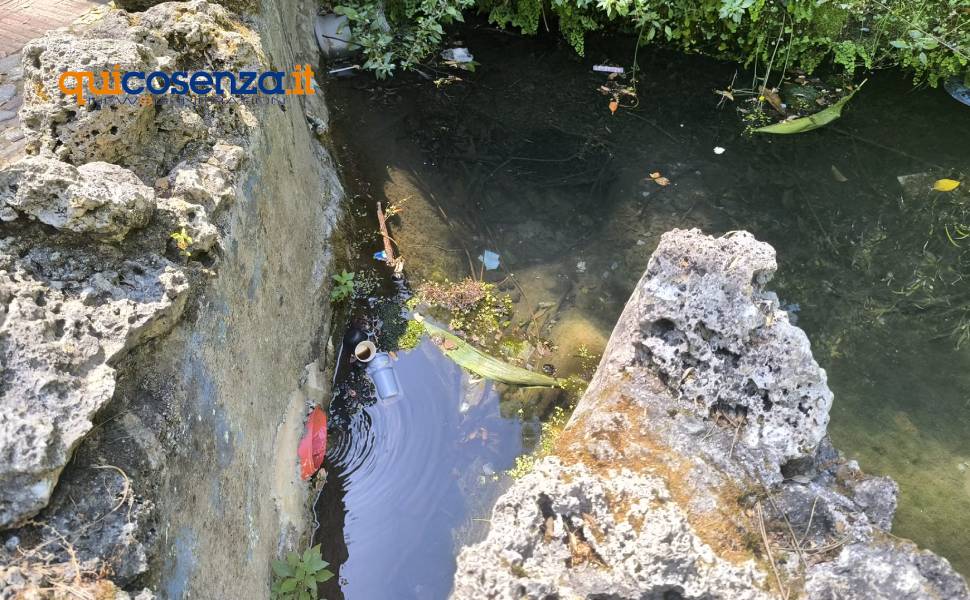 Cosenza: la Villa Vecchia ripiomba nel degrado. Aiuole abbandonate, rifiuti e panchine scomparse 53 Villa Vecchia cosenza giugno 2026 03