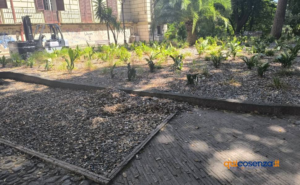 Cosenza: la Villa Vecchia ripiomba nel degrado. Aiuole abbandonate, rifiuti e panchine scomparse 52 Villa Vecchia cosenza giugno 2026 05