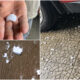 allerta-meteo-grandine-cosentino.jpg