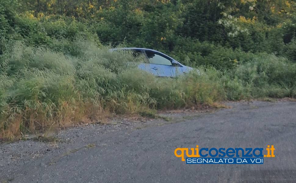 Rende, auto abbandonata tra la vegetazione su via XX Settembre. Residenti chiedono la rimozione 52 auto abbandonata rende via XX Settembre 03