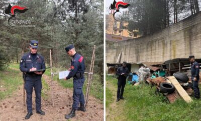 Sila Rifiuti carabinieri forestali sequestro villaggio mancuso 01