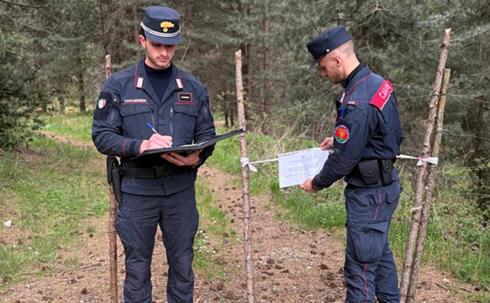 Gestione illecita di rifiuti nel Parco della Sila: sequestrata un’area a Villaggio Mancuso 53 Sila Rifiuti carabinieri forestali sequestro villaggio mancuso 03