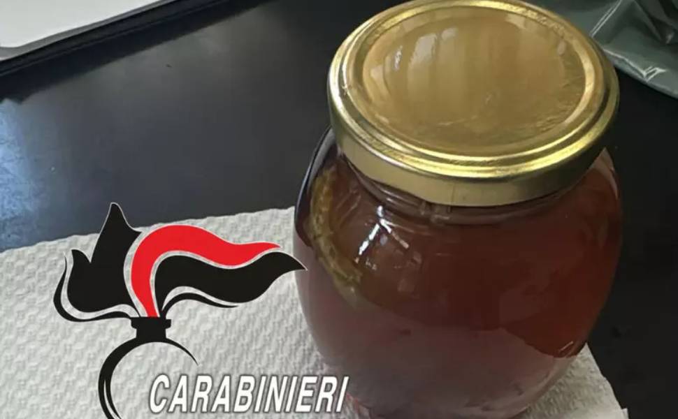 "Miele dello sballo", nuovo allarme tra i giovani: effetti devastanti su sistema nervoso, respiratorio e cardiovascolare 73 carabinieri miele dello sballo