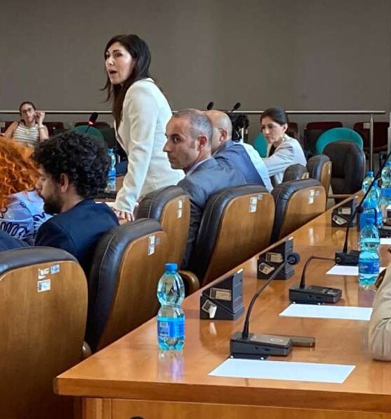consiglio comunale carcere cosenza - Chiara Penna
