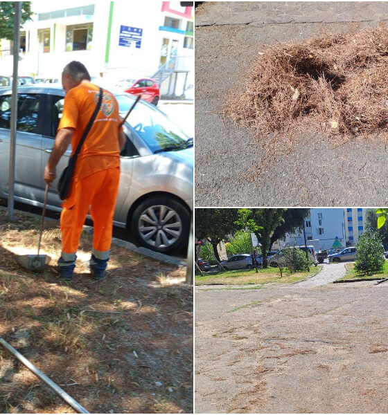 cosenza-parco-morrone-i-due-fiumi-coop