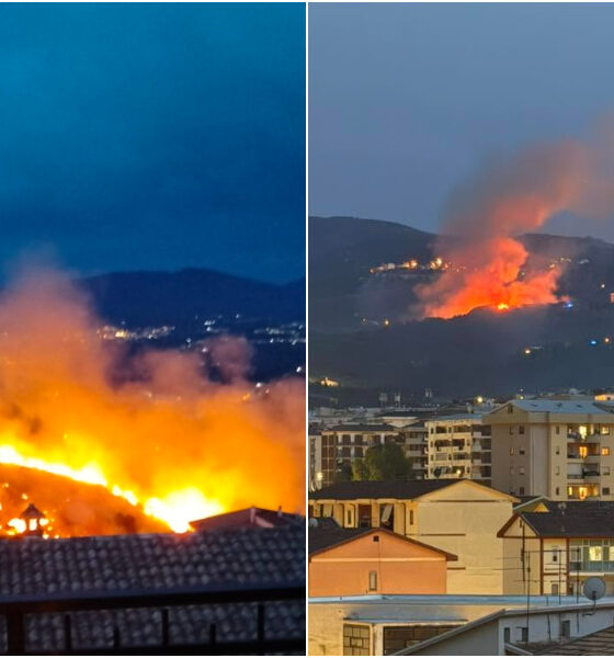 incendio laurignano dipignano 02