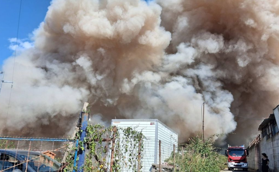 incendio-vibo-cani-canile-rifugio-argo