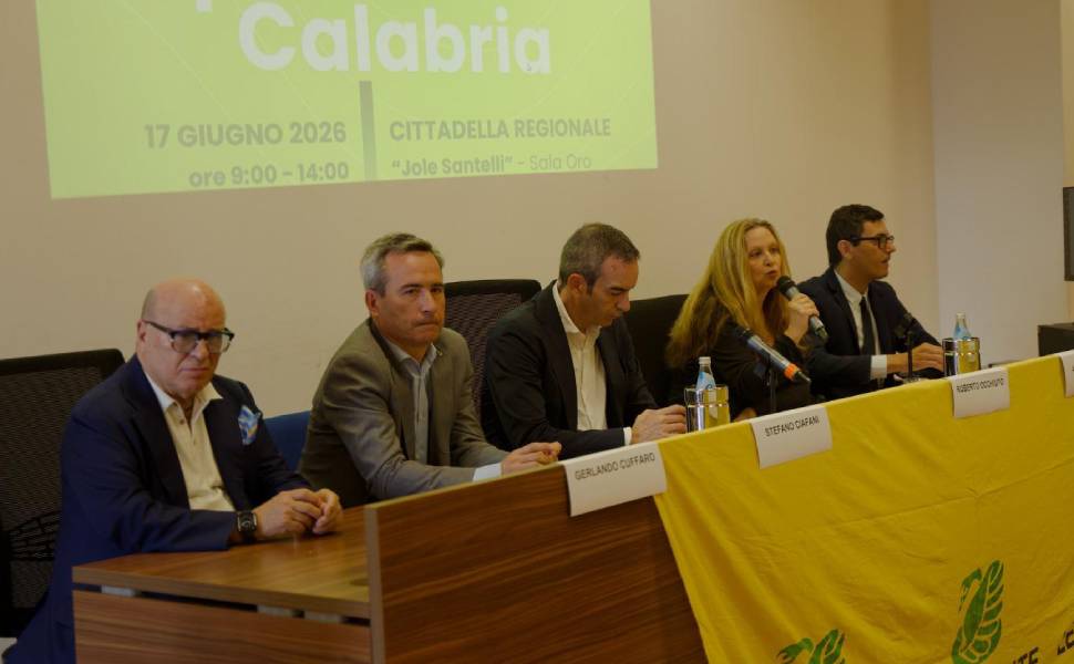 occhiuto bollette energia cittadella 02