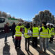 scalea-rifiuti-mia-multiservizi