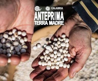 Terra Madre 2026: presidente di Slow Food Italia, Nappini «a Tropea biodiversità, cultura e futuro del cibo» 54 terra madre tropea