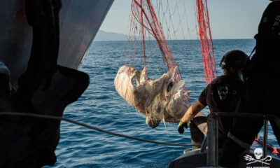 tirreno-cosentino-pesca-illegale-blitz
