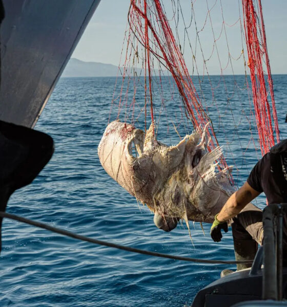 tirreno-cosentino-pesca-illegale-blitz