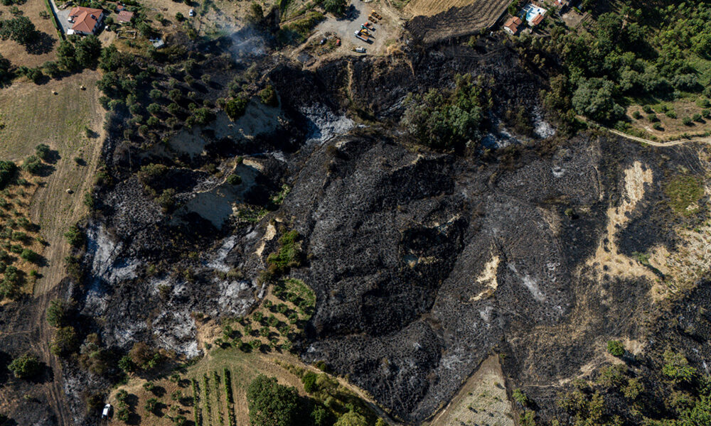 Altomonte incendio