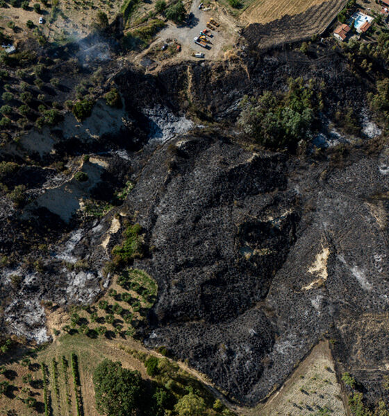 Altomonte incendio