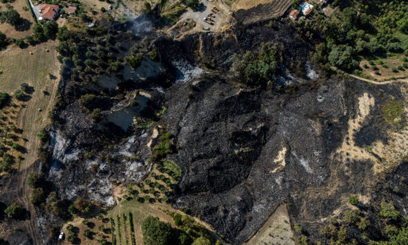 Altomonte incendio