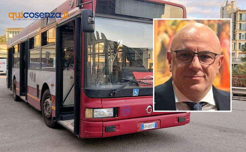 Amaco De Cicco
