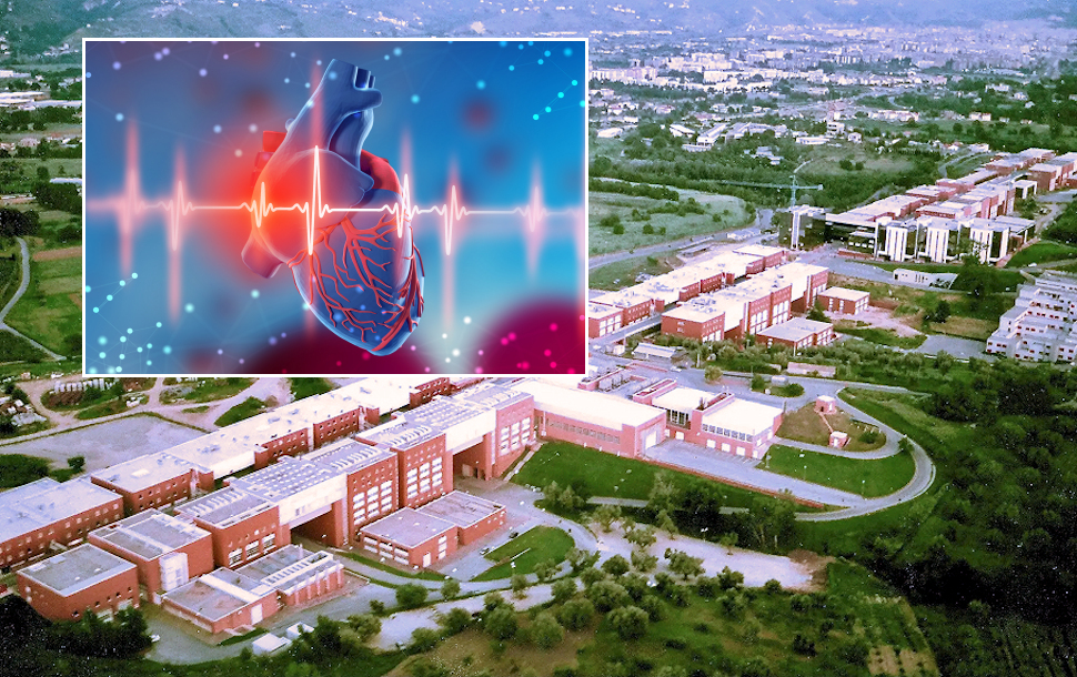 Ascoltare il cuore e rilevare patologie con le microonde: l'innovativa tecnologia di diagnostica cardiaca firmata Unical 51 Ascoltare il cuore con le microonde Unical