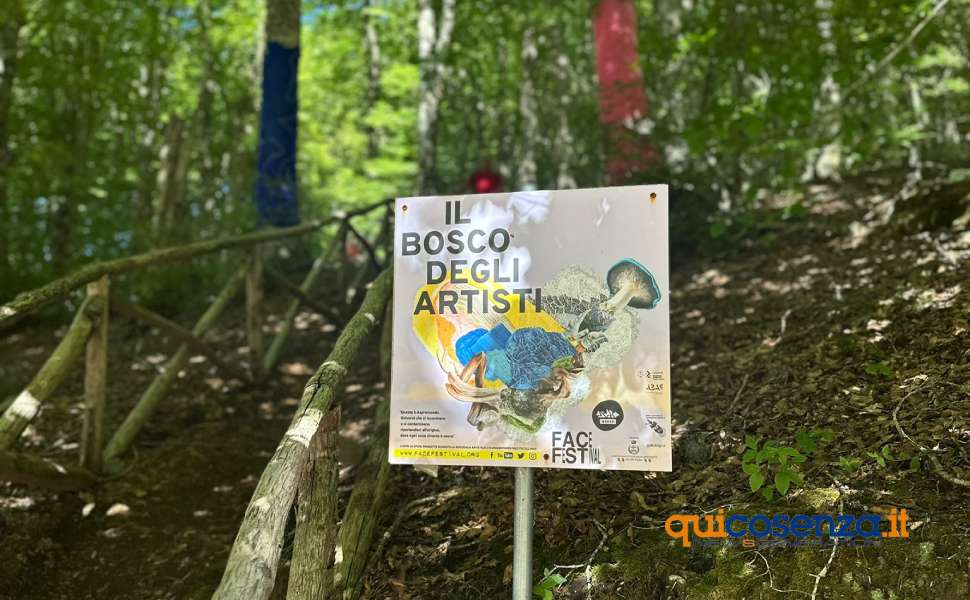 Nel cuore della Calabria il "Bosco degli Artisti", un suggestivo museo a cielo aperto che incanta e stupisce 52 Bosco degli Artisti - Gambarie 02