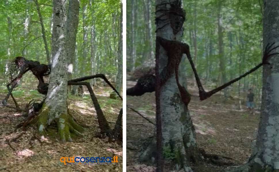 Nel cuore della Calabria il "Bosco degli Artisti", un suggestivo museo a cielo aperto che incanta e stupisce 53 Bosco degli Artisti - Gambarie 07