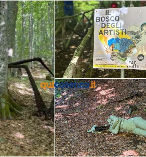 Bosco degli Artisti - Gambarie