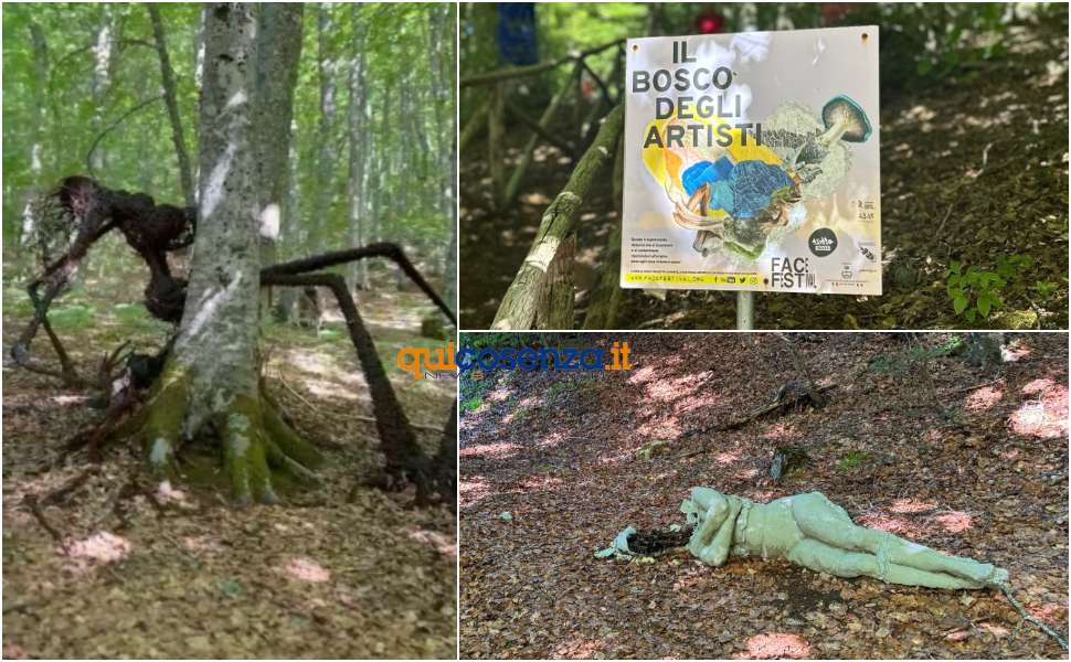 Nel cuore della Calabria il "Bosco degli Artisti", un suggestivo museo a cielo aperto che incanta e stupisce 213 Bosco degli Artisti - Gambarie
