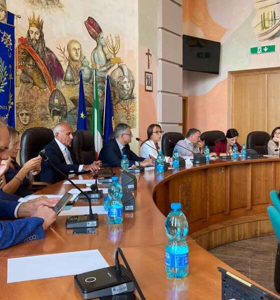 Consiglio comunale cosenza - revisori - tariffe Tari 28 luglio 03