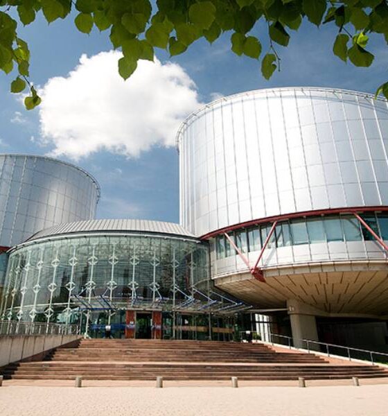 Corte europea diritti uomo - stato banca cosenza debiti