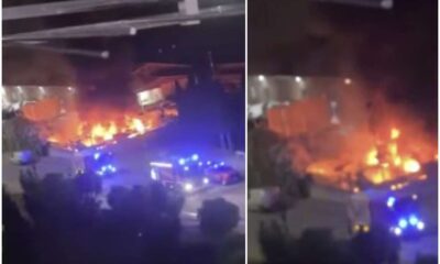 Cosenza_Vaglio Lise_fiamme_Ecologia Oggi