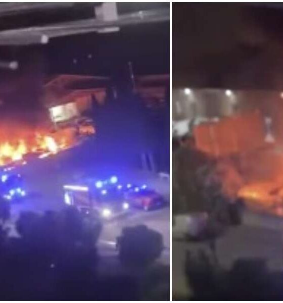 Cosenza_Vaglio Lise_fiamme_Ecologia Oggi