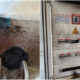 Vandali in azione alla stazione di sollevamento di Lattughelle: era stata ripristinata dopo l'alluvione 51 Danni stazione lattughelle cassano 01