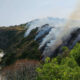 Emergenza incendi in Calabria rogo Zambrone