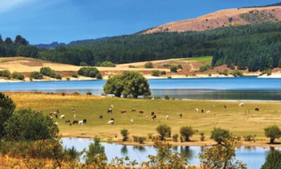 Fattorie Aperte in Sila edizione 2026 02