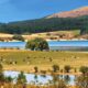Fattorie Aperte in Sila edizione 2026 02