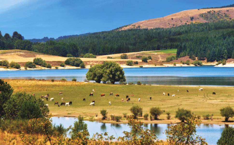 Fattorie Aperte in Sila edizione 2026 02