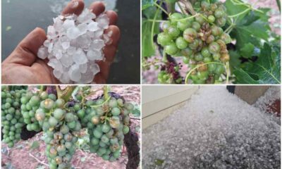 Saracena_grandinata_stato di calamità naturale