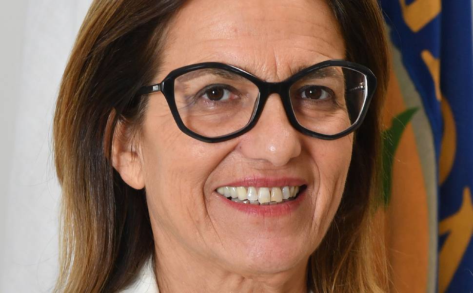 Forestali e precariato, interrogazione di Filomena Greco «stabilizzare 335 lavoratori dei boschi» 52 Greco Filomena - interrogazione forestali