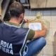 sequestro_prodotti ittici