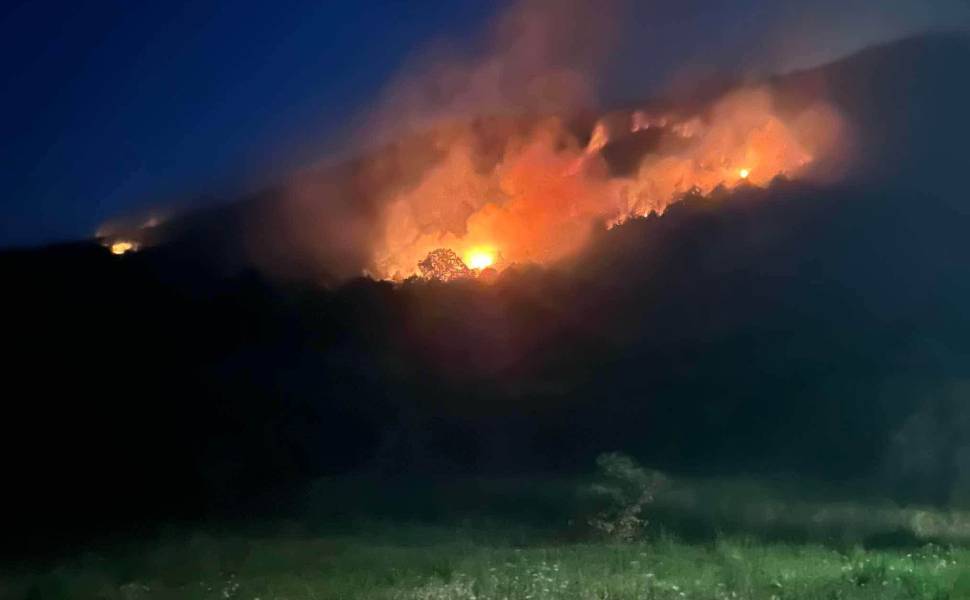 Inferno di fuoco: decine di roghi anche in provincia di Cosenza. Incendi senza tregua nel picco del caldo 81 Incendi - rogo a santa caterina albanese