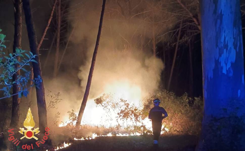 Inferno di fuoco: decine di roghi anche in provincia di Cosenza. Incendi senza tregua nel picco del caldo 54 Incendi - rogo ad Acconia di Curinga Cz