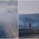 La Calabria nella morsa degli incendi: 150 interventi dei Vigili del Fuoco in poche ore - VIDEO 53 incendi_calabria