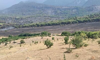 Incendi_pascoli
