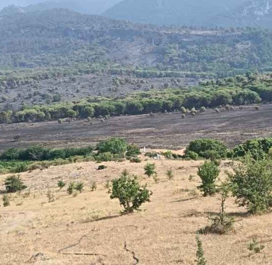 Incendi_pascoli