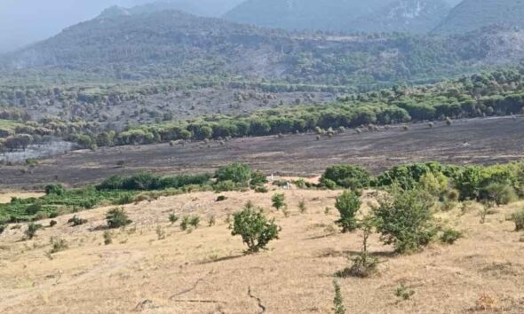 Incendi_pascoli
