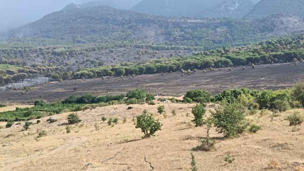 Incendi_pascoli