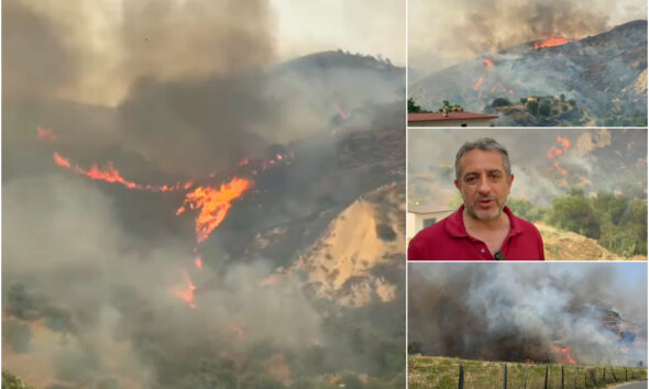 Incendio rogo Cassano All'Ionio