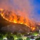 Inferno di fuoco a Praia a Mare: vasto incendio sul Monte Vingiolo, notte di ansia e paura 52 Incendio Monte Vingiolo Praia a Mare 01