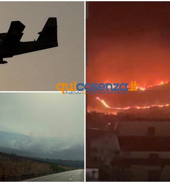 Il Pollino continua a bruciare, le fiamme del devastante incendio tra Castrovillari e Frascineto salgono verso le montagne - VIDEO 56 incendio-Pollino